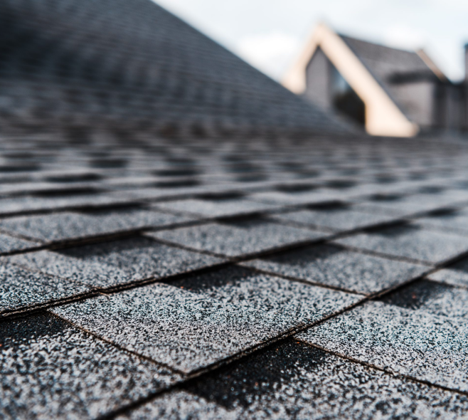 Shingle Roof