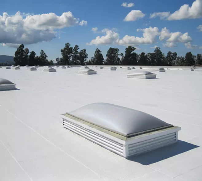 EPDM Roof